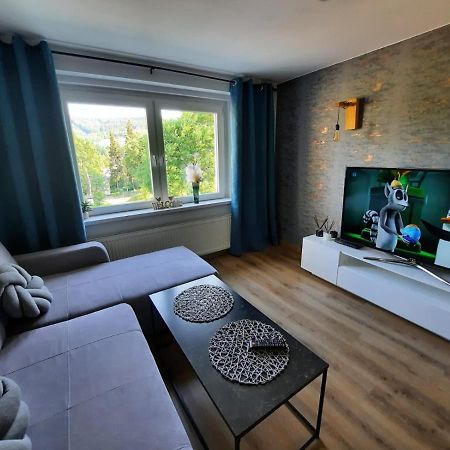 Orlicka Apartament Duszniki Zdrój Eksteriør billede