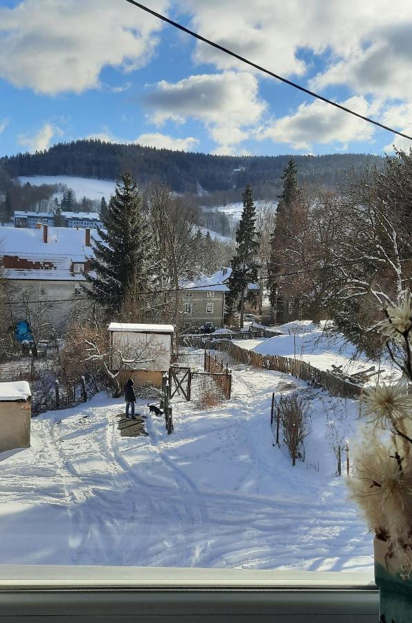 Orlicka Apartament Duszniki Zdrój Eksteriør billede